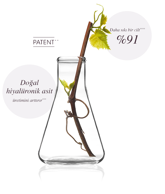 Resveratrol - Kanıtlanmış etki